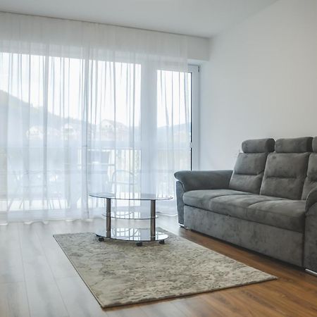 Silver Apartment Sinaia Exterior photo